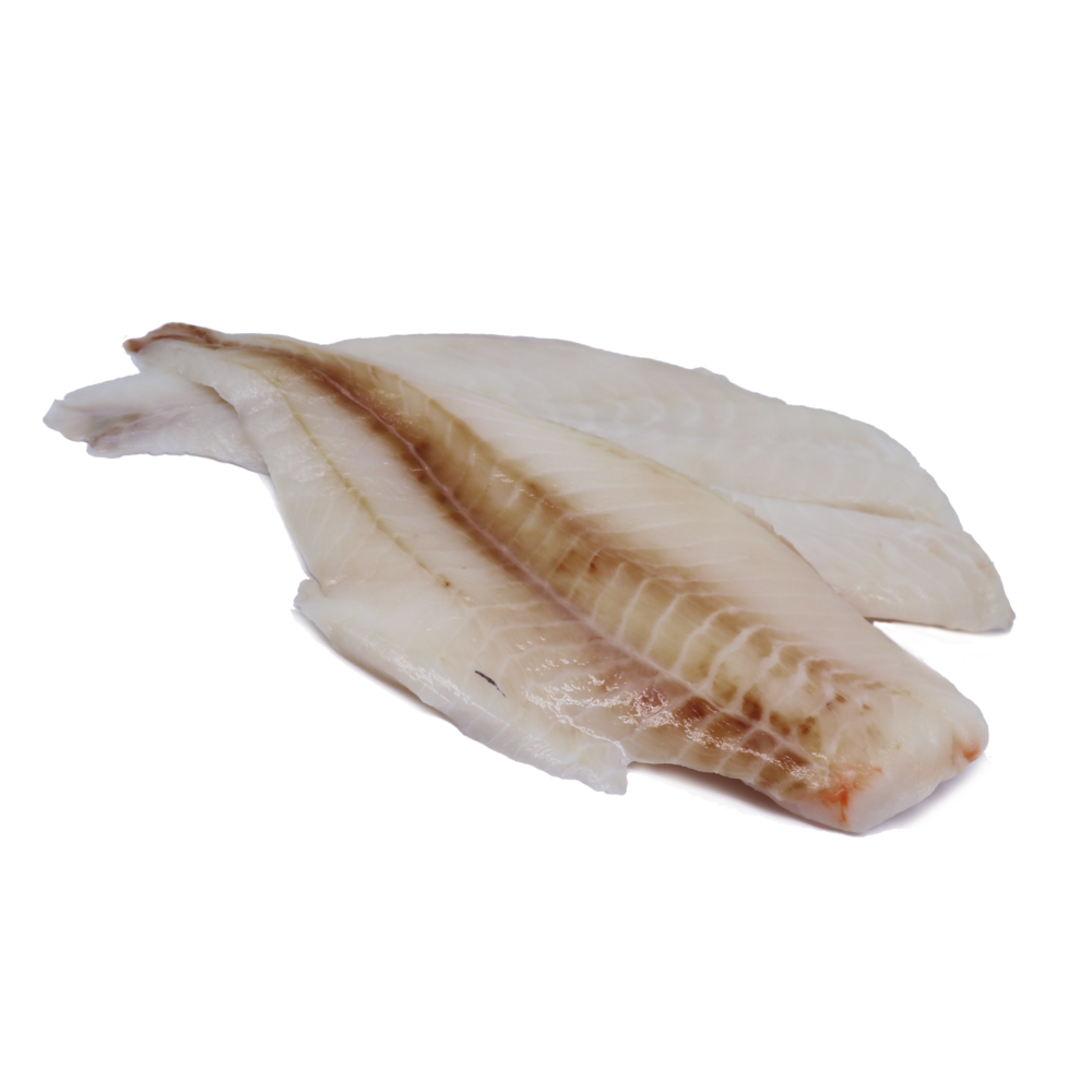 Fresh Sea Perch Fillets (NZ) Butcher Baker Grocer