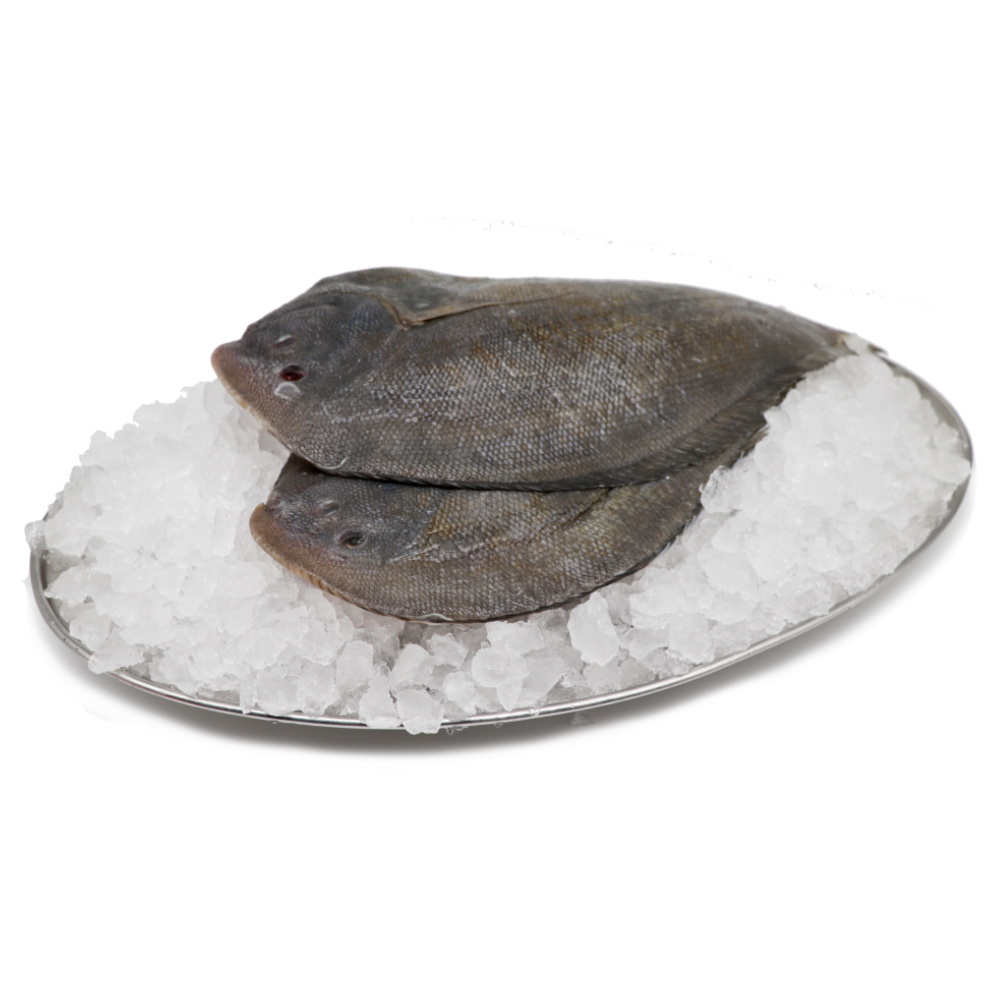Whole Flounder (fresh) Butcher Baker Grocer